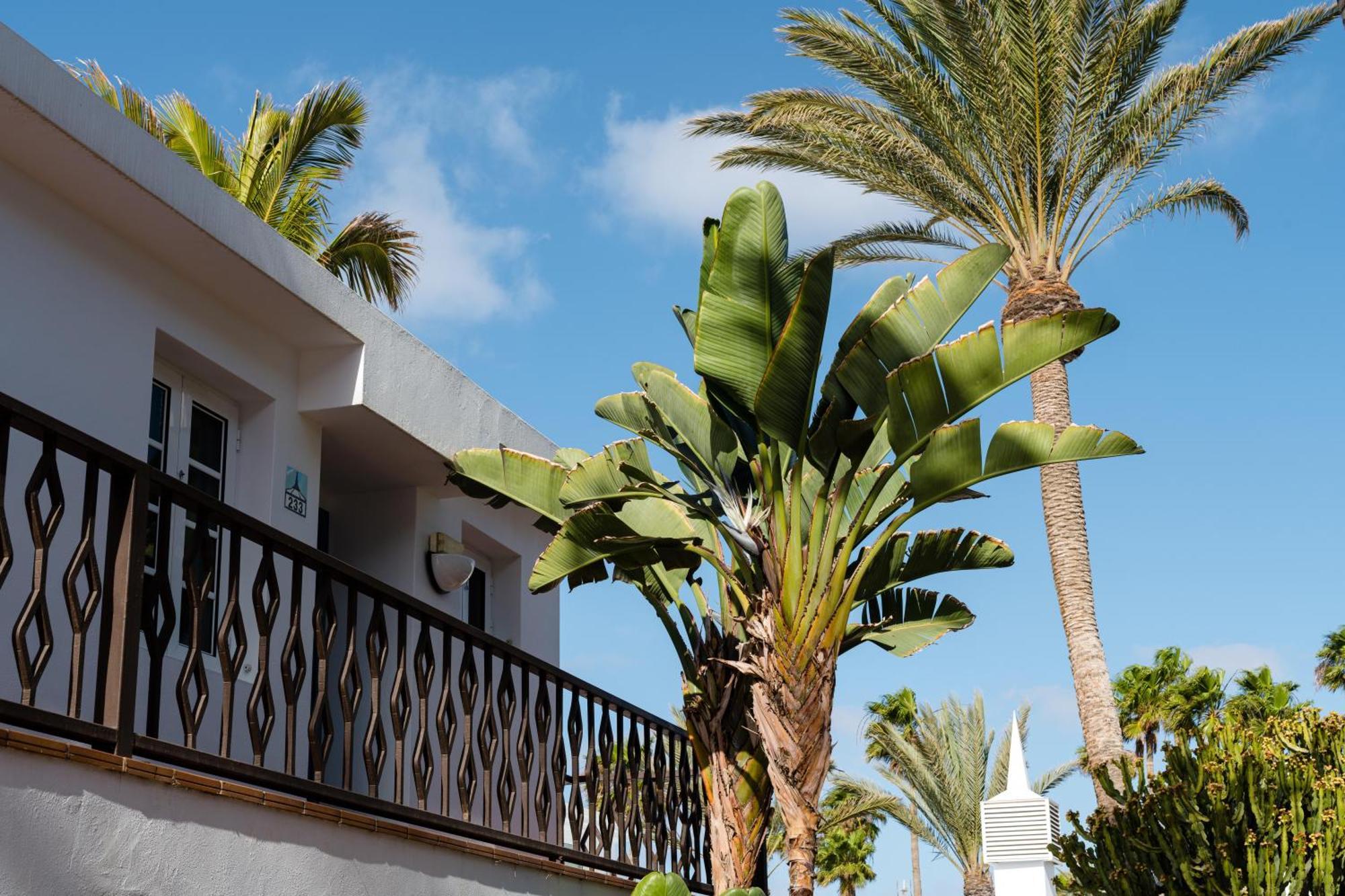 Plus Fariones Apartamentos Puerto del Carmen  Eksteriør bilde