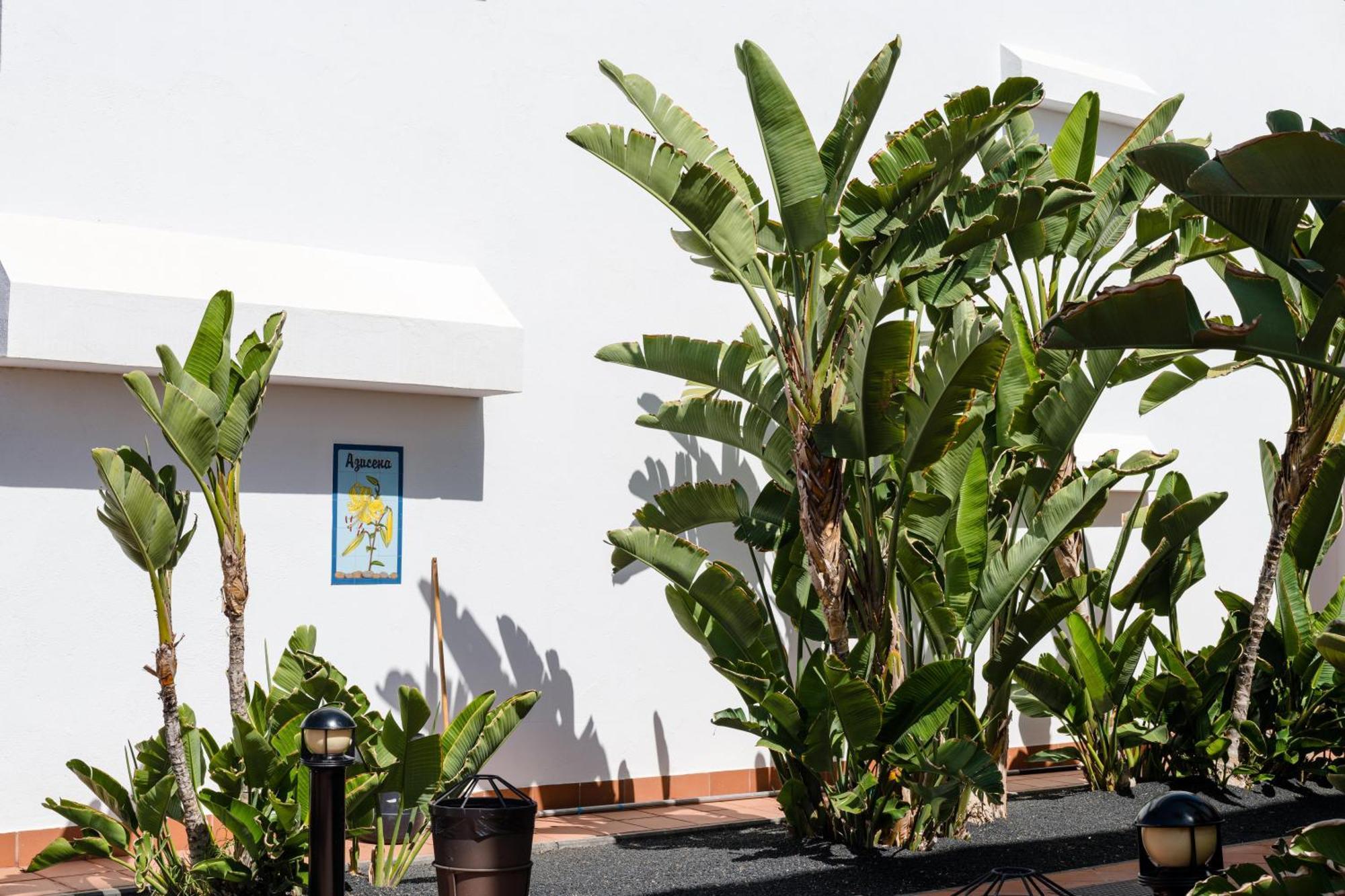 Plus Fariones Apartamentos Puerto del Carmen  Eksteriør bilde